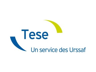 Le TESE : Titre Emploi Service Entreprises