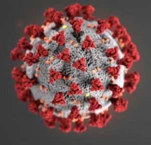 coronavirus covid-19